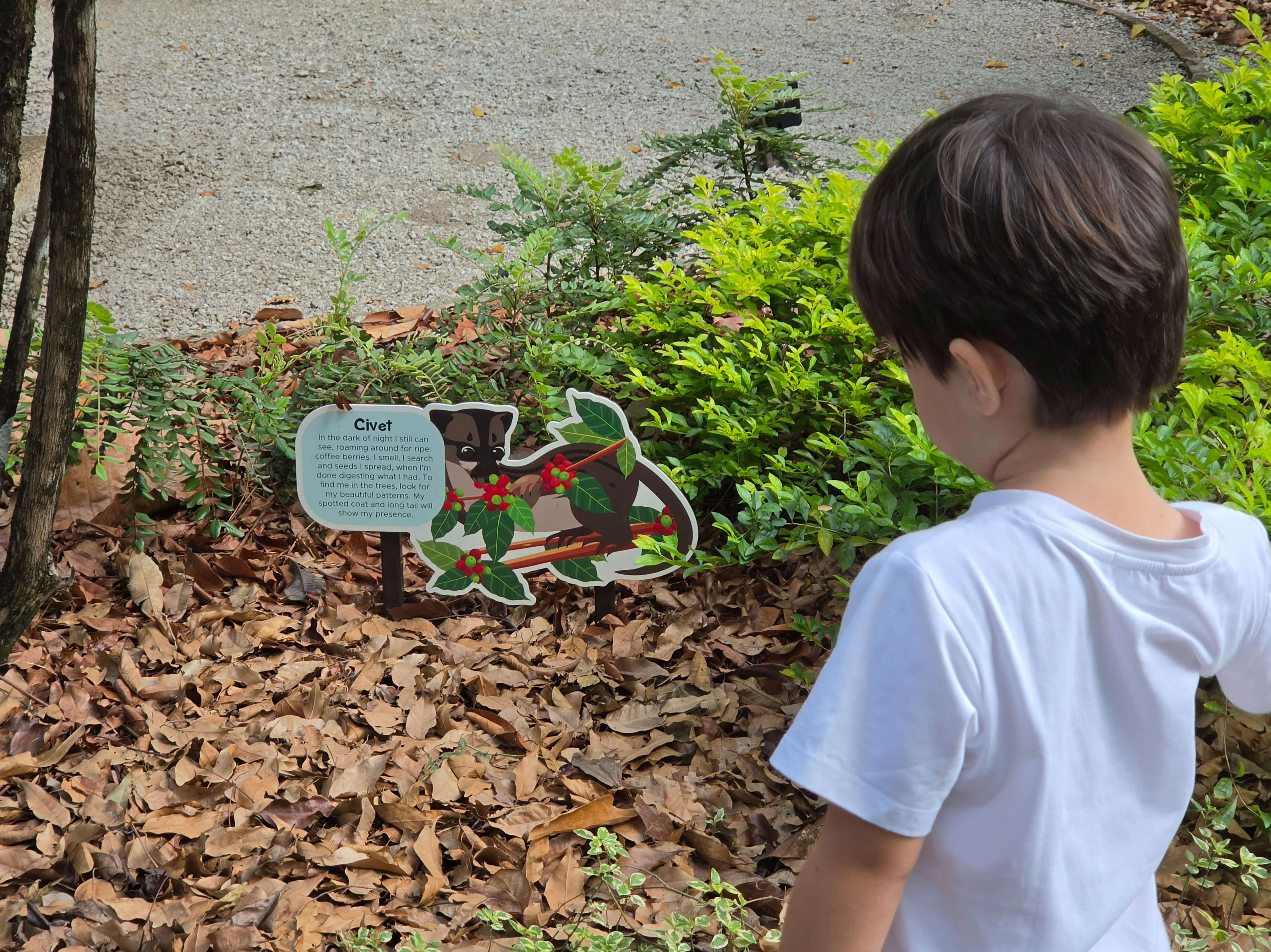 Jacob Ballas Children's Garden Civet Sign